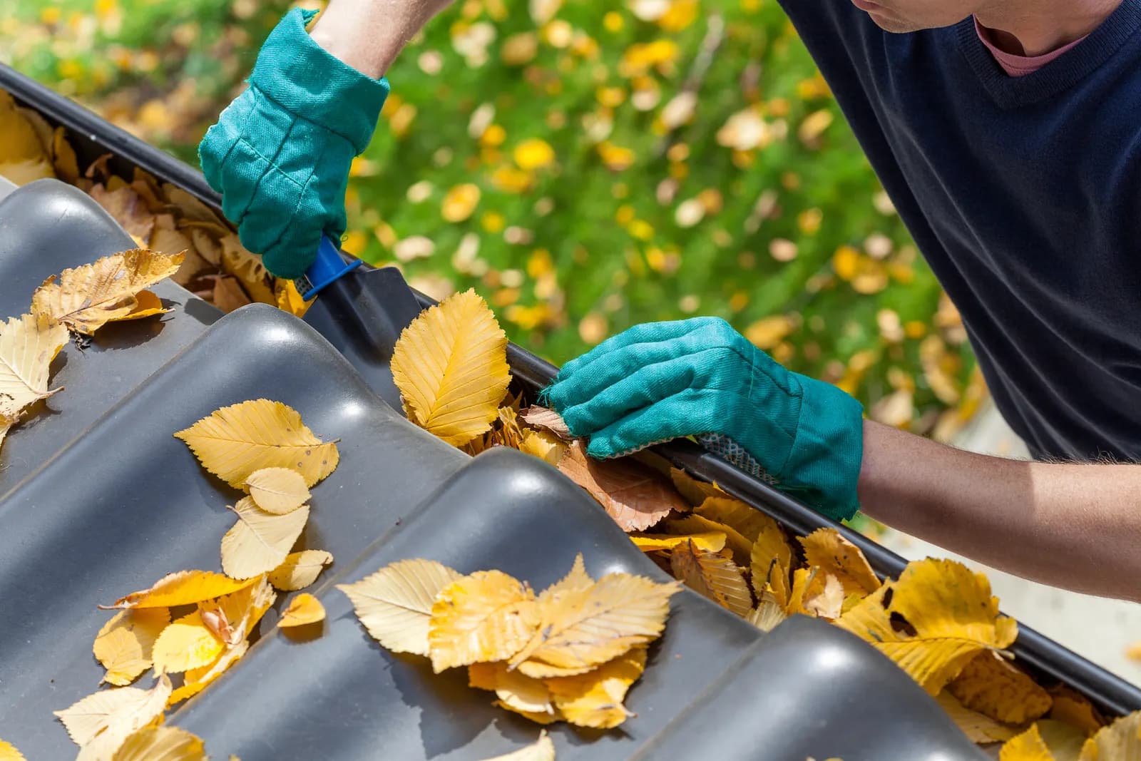 Proactive Gutter Maintenance in Victoria, TX